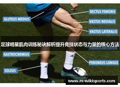 足球明星肌肉训练秘诀解析提升竞技状态与力量的核心方法